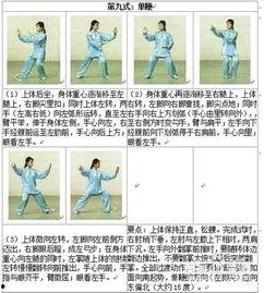 太极24式教学视频