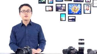 犬交视频,揭秘动物世界的亲密瞬间