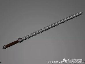 传统九节鞭教学视频