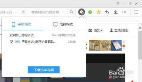 怎样从网上下载视频,网上视频下载全攻略