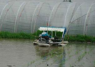 久保田插秧机操作视频,高效农业机械化实践解析